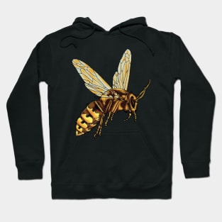 Hornet Hoodie